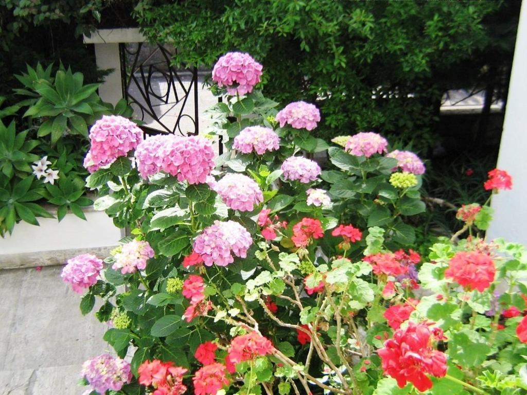 B&B Il Giardino Di Villa Anna Trecase Eksteriør bilde