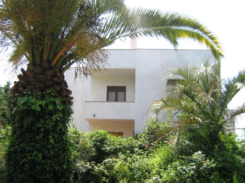 B&B Il Giardino Di Villa Anna Trecase Eksteriør bilde