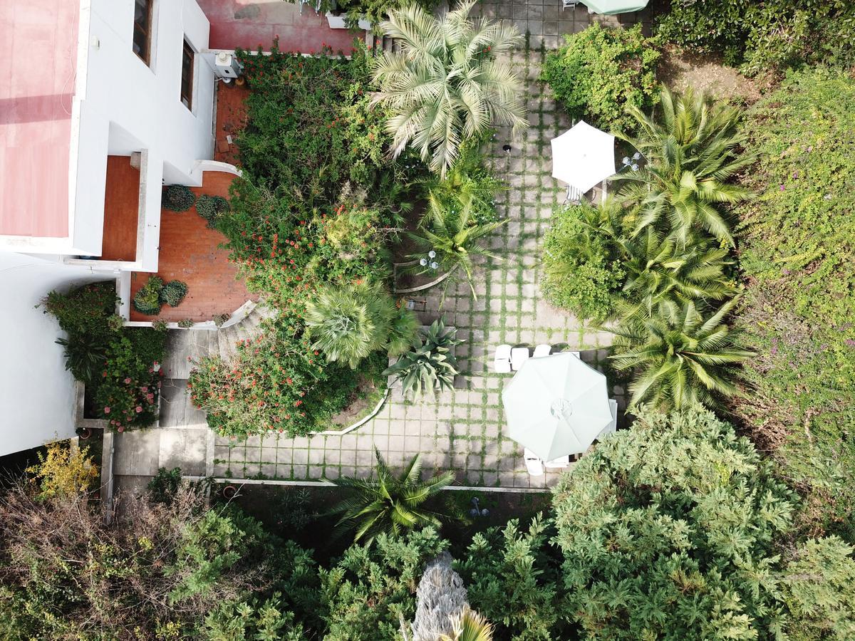 B&B Il Giardino Di Villa Anna Trecase Eksteriør bilde