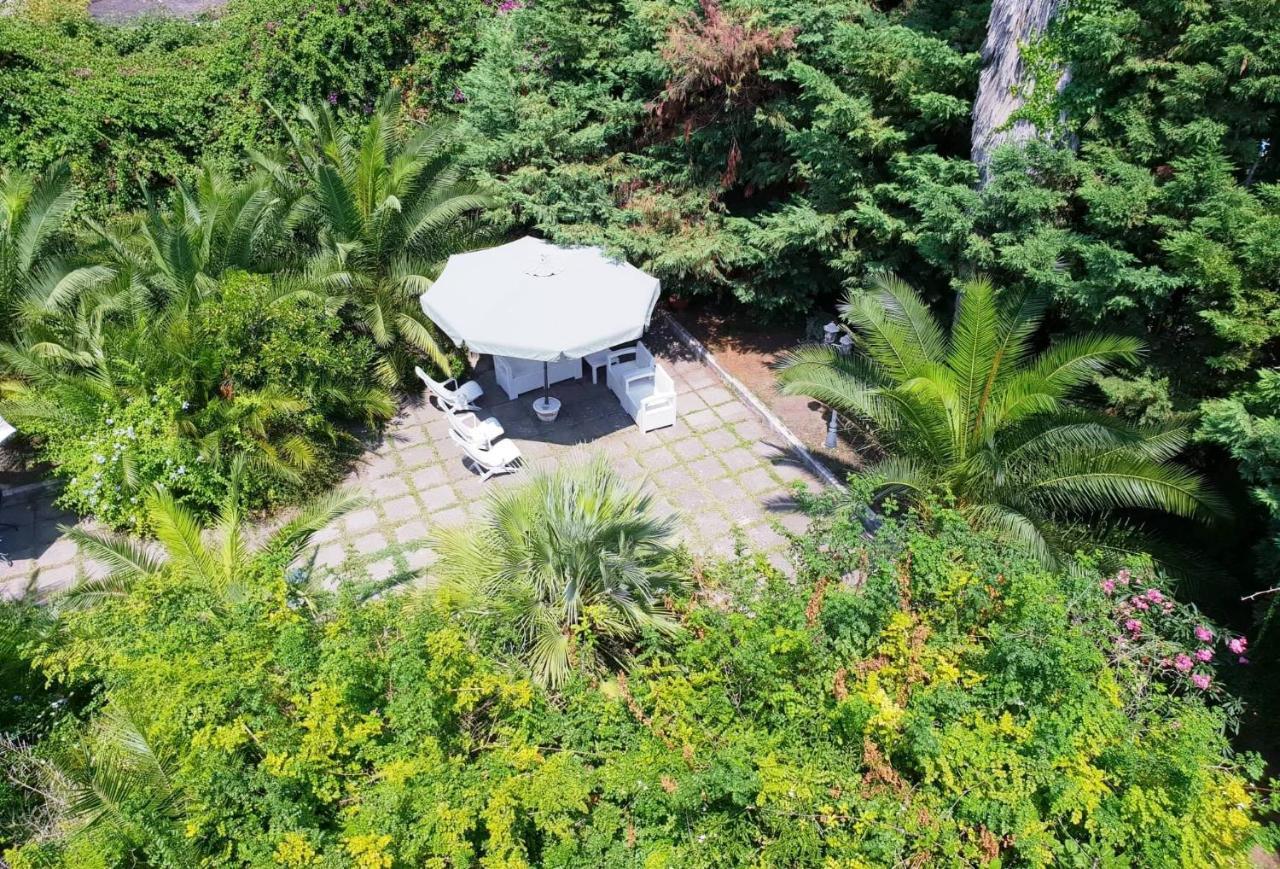 B&B Il Giardino Di Villa Anna Trecase Eksteriør bilde