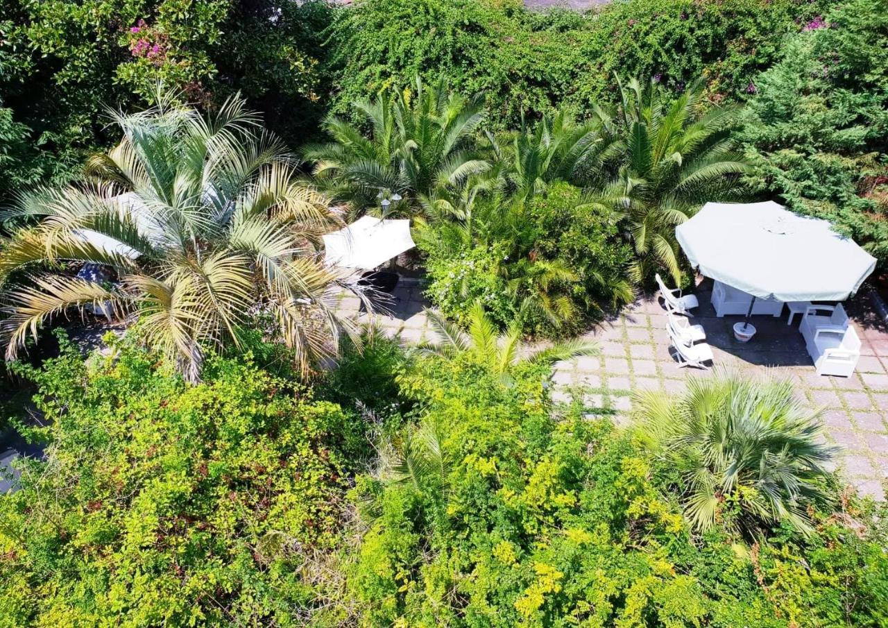 B&B Il Giardino Di Villa Anna Trecase Eksteriør bilde