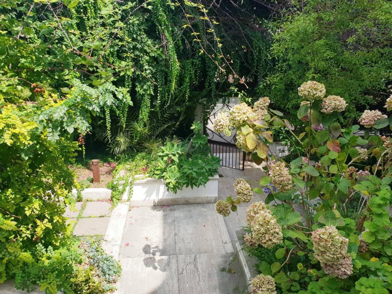 B&B Il Giardino Di Villa Anna Trecase Eksteriør bilde