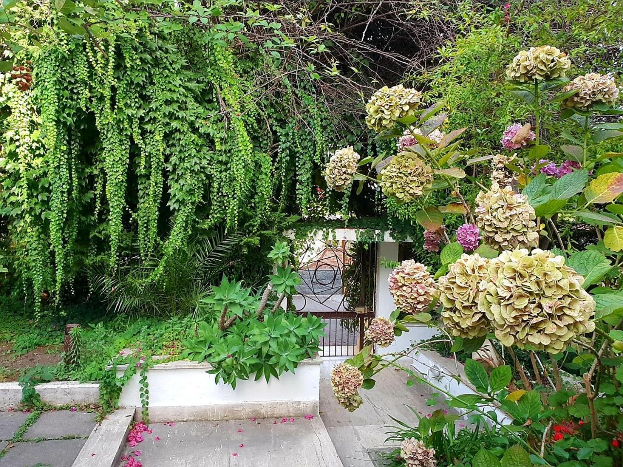 B&B Il Giardino Di Villa Anna Trecase Eksteriør bilde