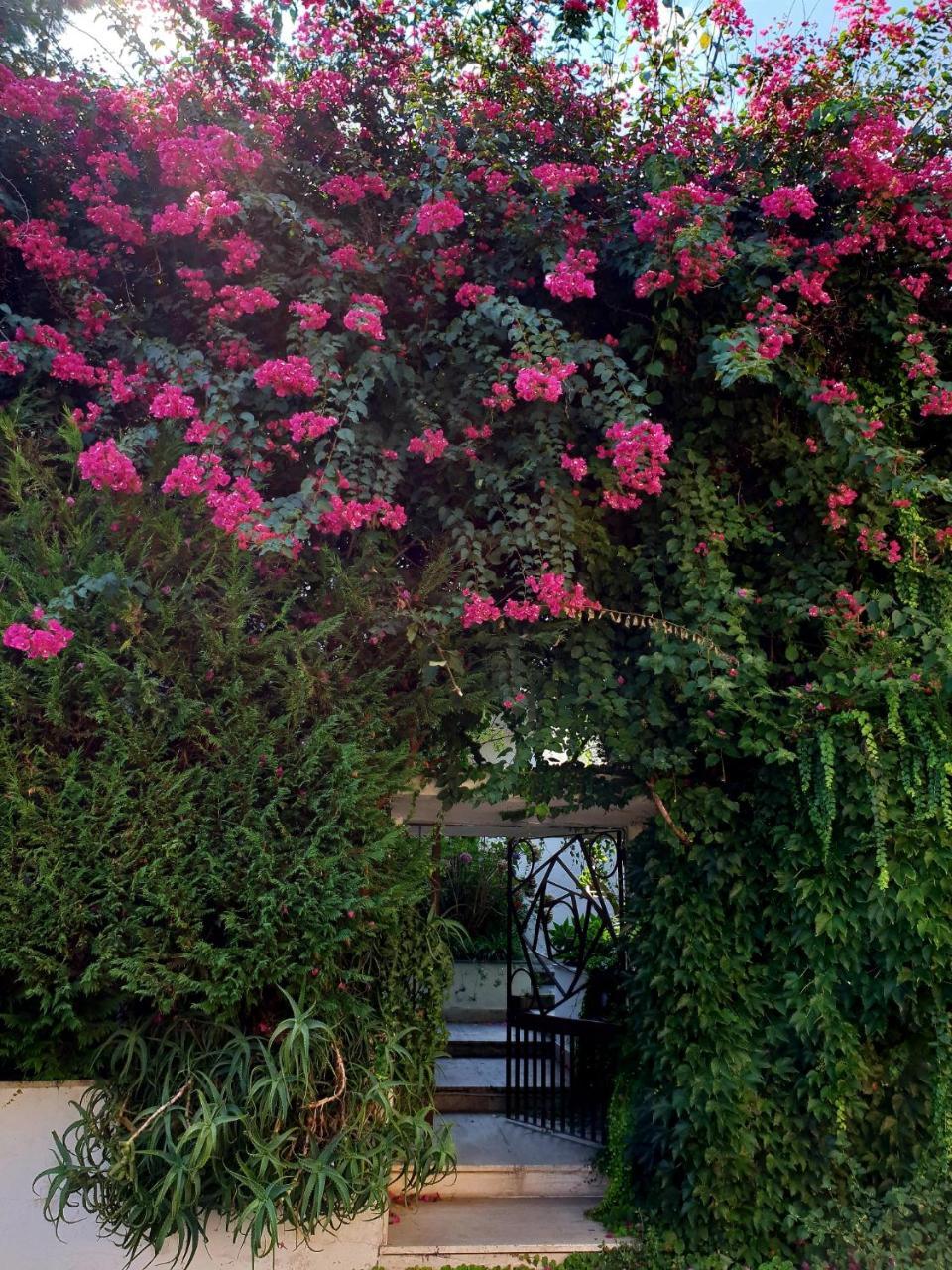 B&B Il Giardino Di Villa Anna Trecase Eksteriør bilde