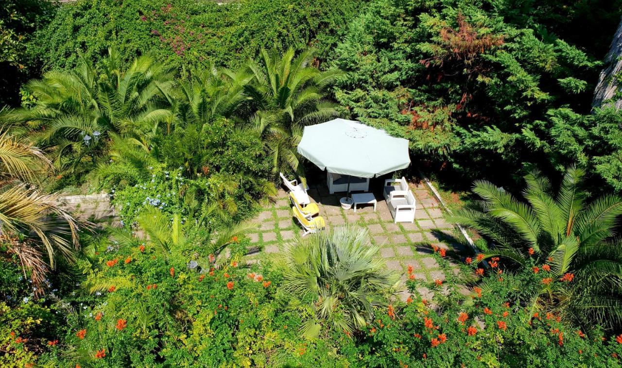 B&B Il Giardino Di Villa Anna Trecase Eksteriør bilde