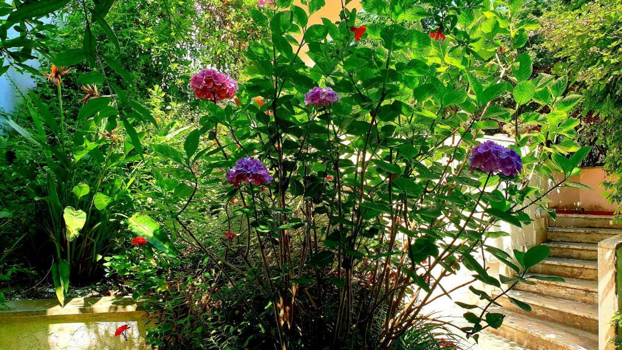 B&B Il Giardino Di Villa Anna Trecase Eksteriør bilde